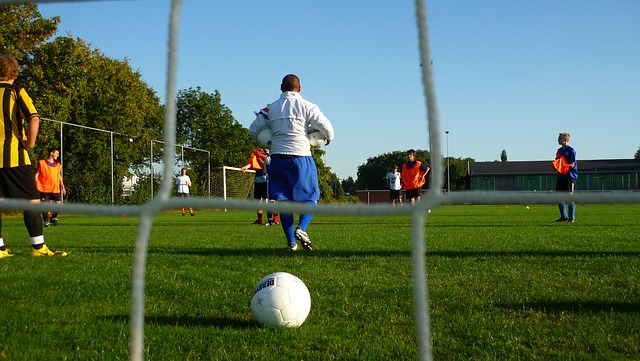 不仅是万物 不仅是万物