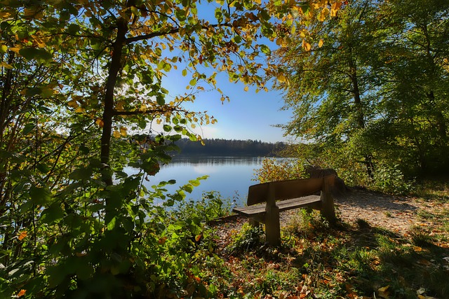 端技术和成 端技术和成