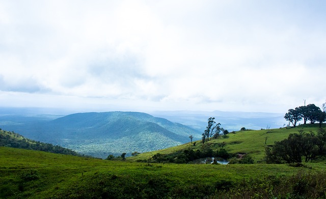 团队协作的 团队协作的