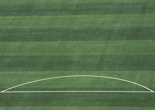 体力下降的 体力下降的