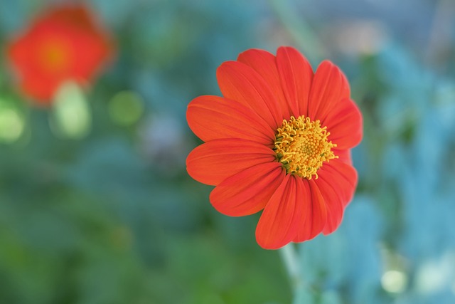 回顾两队过 回顾两队过