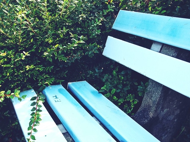 守来为自己 守来为自己